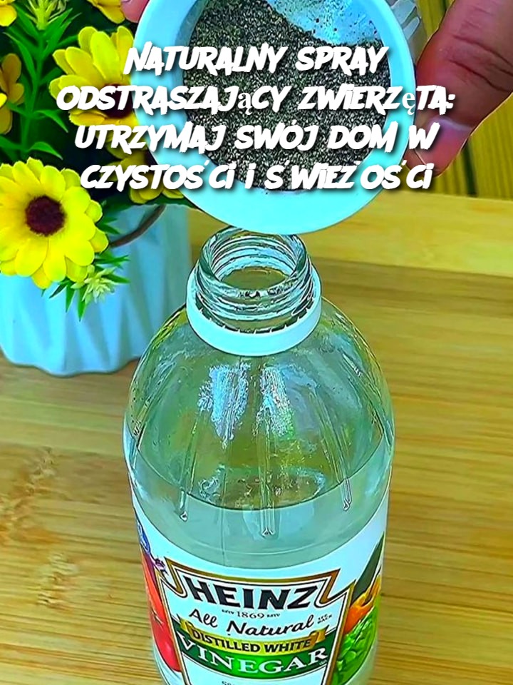 Naturalny spray odstraszający zwierzęta: utrzymaj swój dom w czystości i świeżości