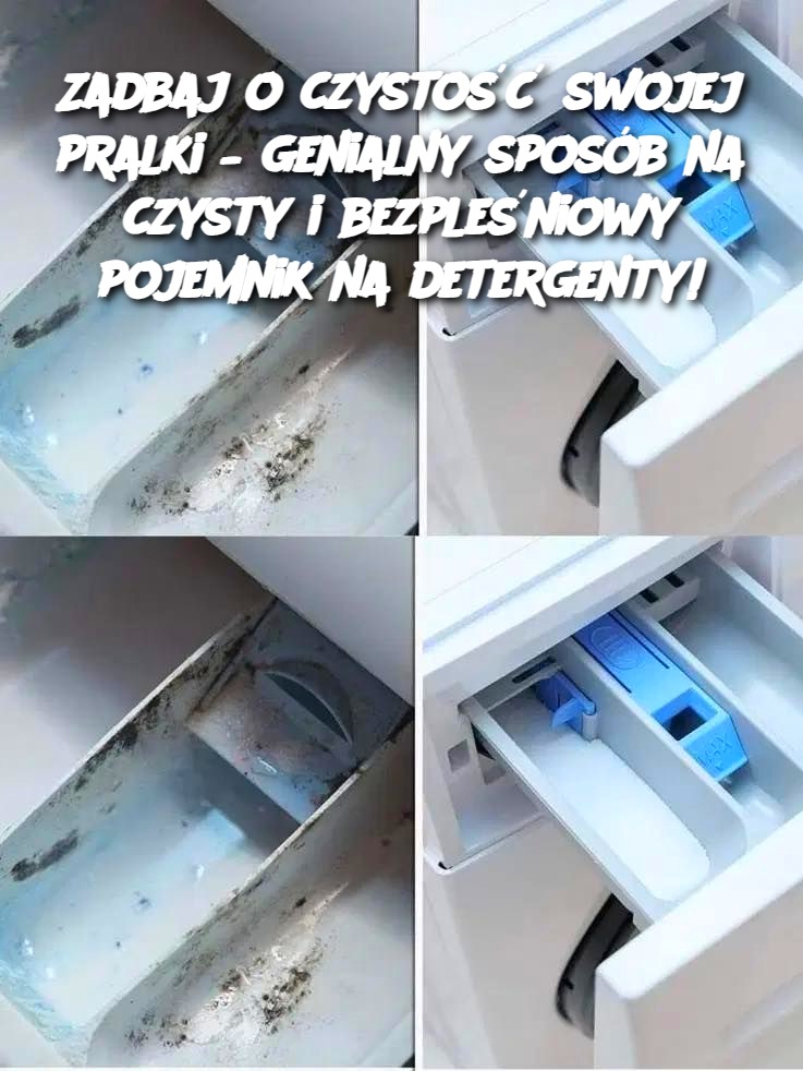 Zadbaj o czystość swojej pralki – genialny sposób na czysty i bezpleśniowy pojemnik na detergenty!