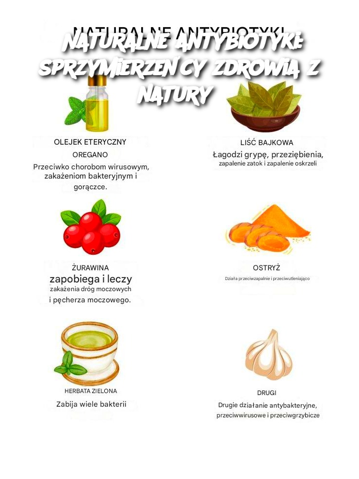  Naturalne antybiotyki: sprzymierzeńcy zdrowia z natury 