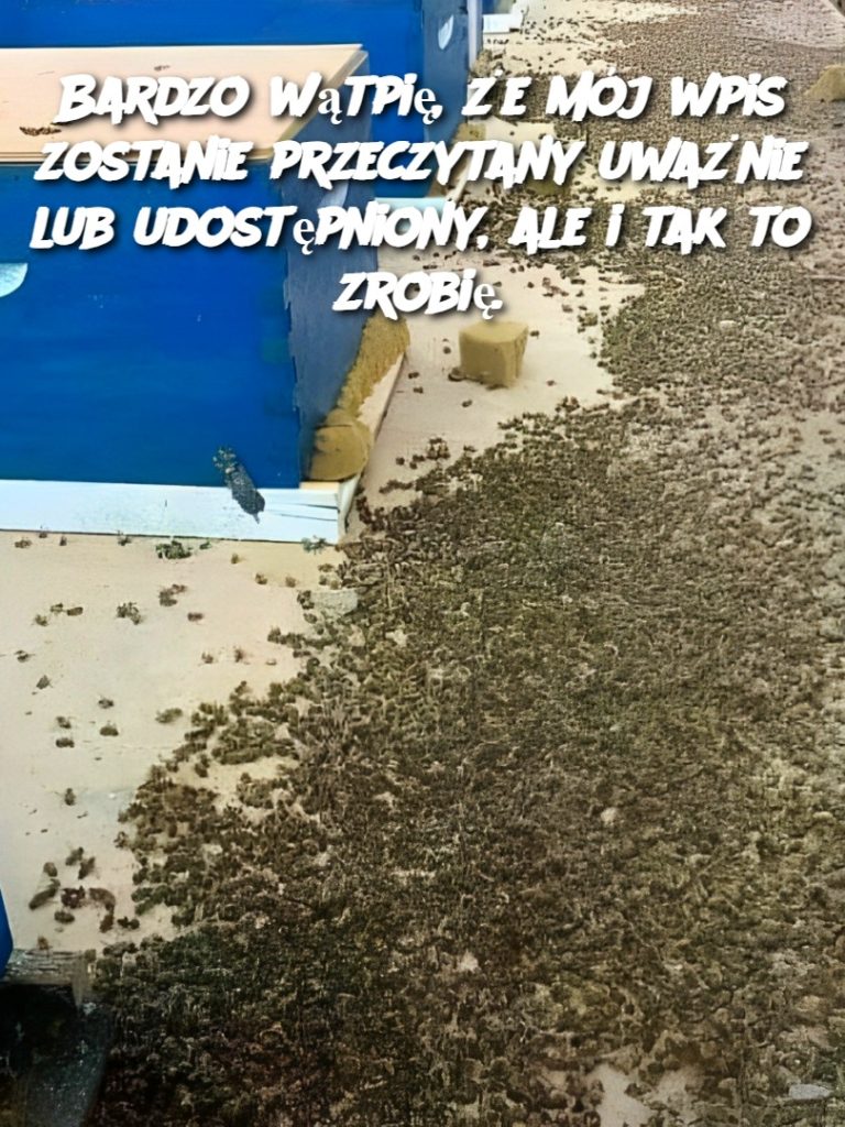Bardzo wątpię, że mój wpis zostanie przeczytany uważnie lub udostępniony, ale i tak to zrobię.