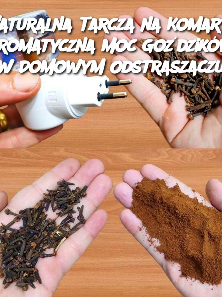 Naturalna Tarcza na Komary: Aromatyczna Moc Goździków w Domowym Odstraszaczu