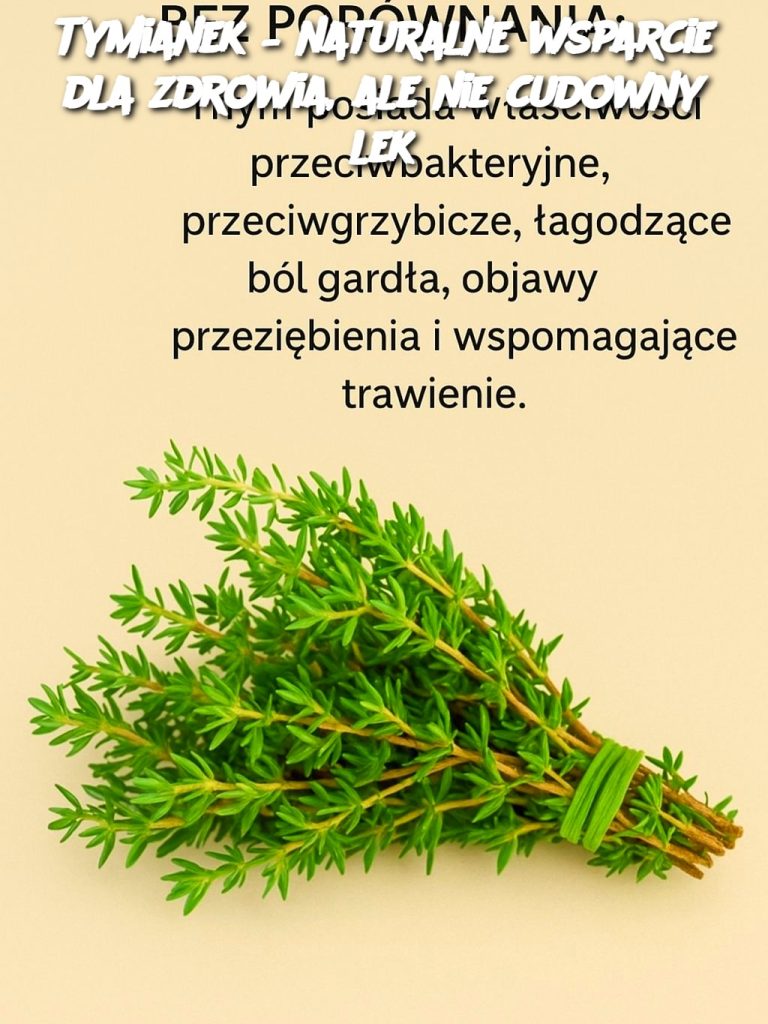 Tymianek – naturalne wsparcie dla zdrowia, ale nie cudowny lek