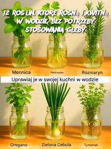 12 roślin, które rosną i kwitną w wodzie, bez potrzeby stosowania gleby