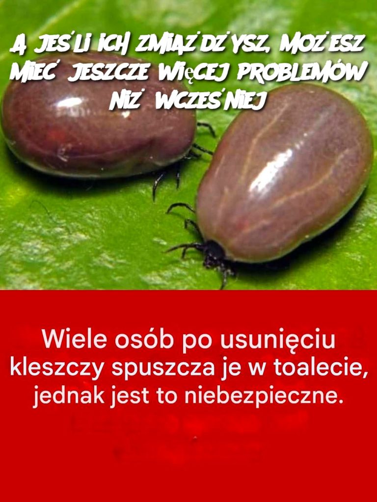 A jeśli ich zmiażdżysz, możesz mieć jeszcze więcej problemów niż wcześniej