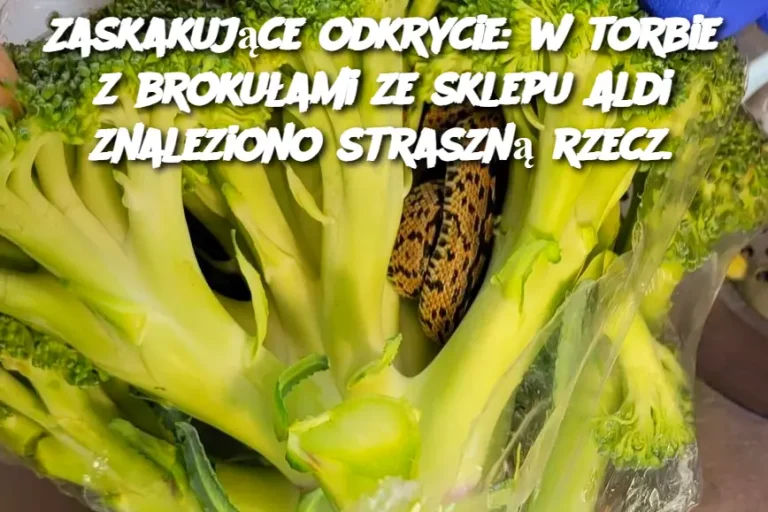 Zaskakujące odkrycie: w torbie z brokułami ze sklepu Aldi znaleziono straszną rzecz.