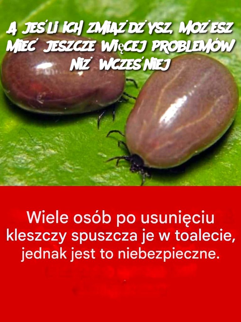 A jeśli ich zmiażdżysz, możesz mieć jeszcze więcej problemów niż wcześniej