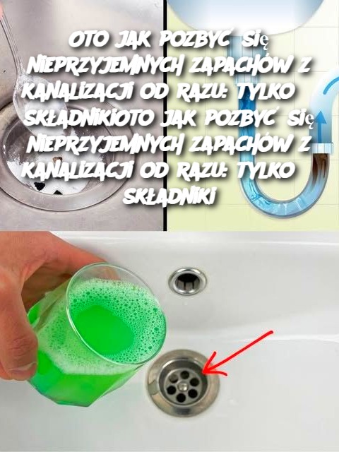 Oto jak pozbyć się nieprzyjemnych zapachów z kanalizacji od razu: tylko 3 składnikiOto jak pozbyć się nieprzyjemnych zapachów z kanalizacji od razu: tylko 3 składniki