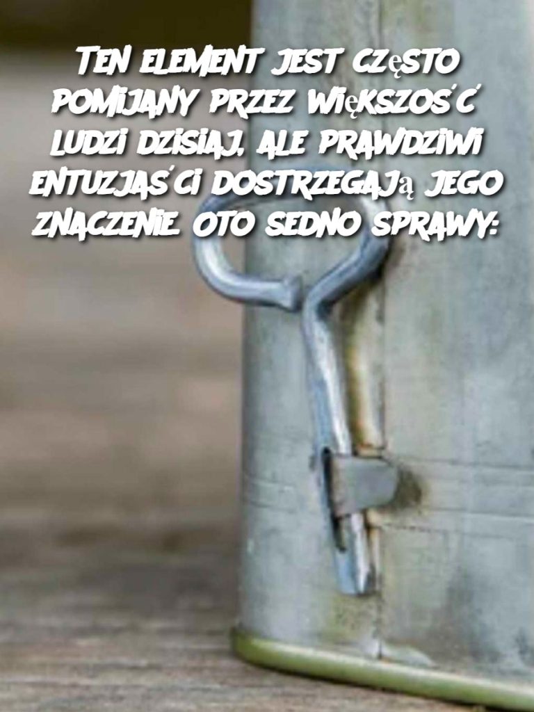 Ten element jest często pomijany przez większość ludzi dzisiaj, ale prawdziwi entuzjaści dostrzegają jego znaczenie. Oto sedno sprawy: