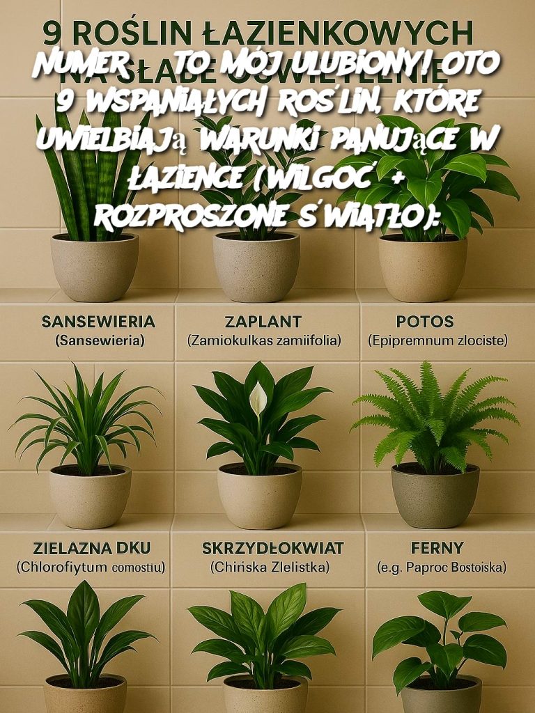 Numer 3 to mój ulubiony! Oto 9 wspaniałych roślin, które uwielbiają warunki panujące w łazience (wilgoć + rozproszone światło)