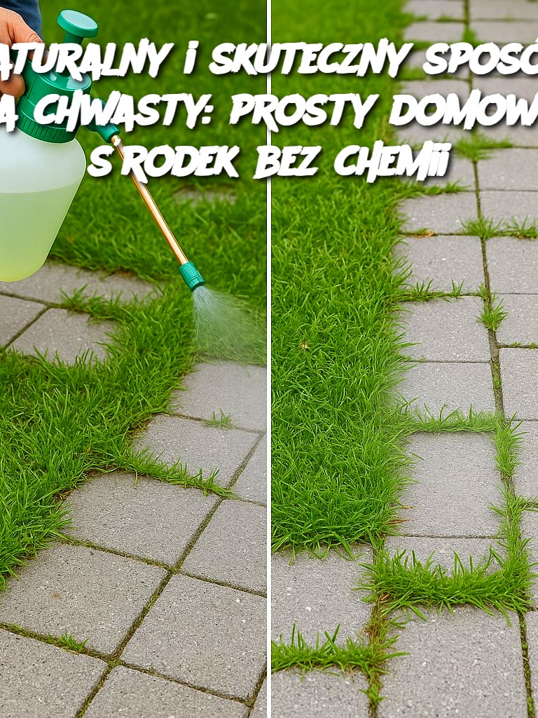 Naturalny i skuteczny sposób na chwasty: prosty domowy środek bez chemii