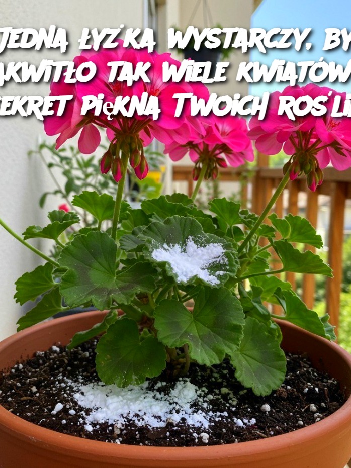 Jedna łyżka wystarczy, by zakwitło tak wiele kwiatów – sekret piękna Twoich roślin