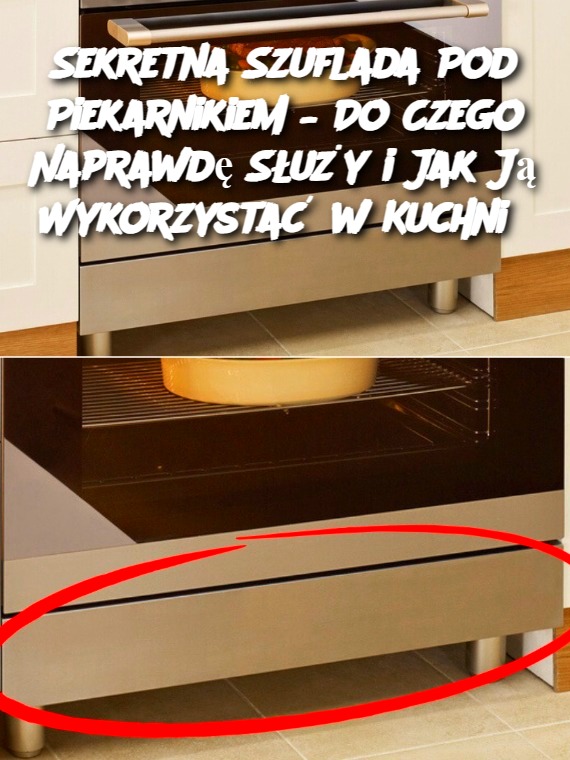 Sekretna Szuflada Pod Piekarnikiem – Do Czego Naprawdę Służy i Jak Ją Wykorzystać w Kuchni?