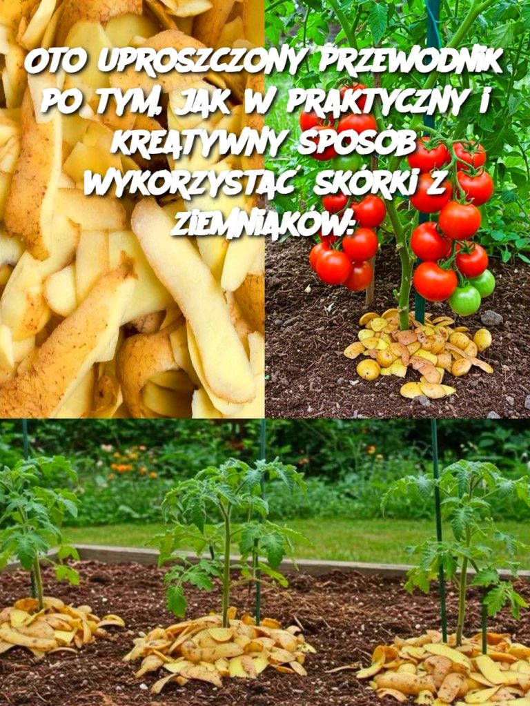 Oto uproszczony przewodnik po tym, jak w praktyczny i kreatywny sposób wykorzystać skórki z ziemniaków: