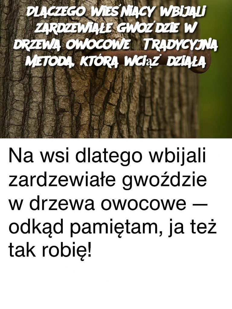 Dlaczego wieśniacy wbijali zardzewiałe gwoździe w drzewa owocowe? Tradycyjna metoda, która wciąż działa