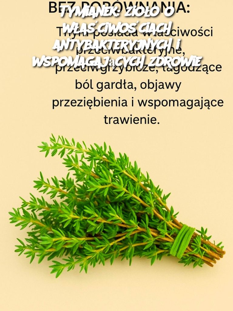 Tymianek: zioło o właściwościach antybakteryjnych i wspomagających zdrowie