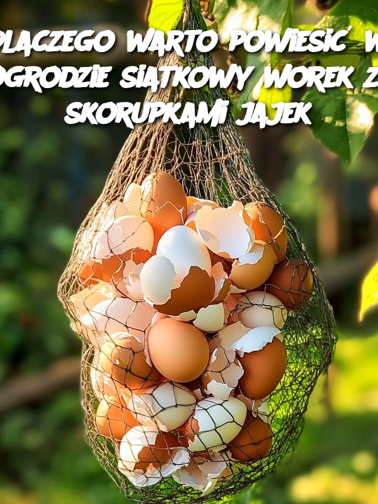 Dlaczego warto powiesić w ogrodzie siatkowy worek ze skorupkami jajek