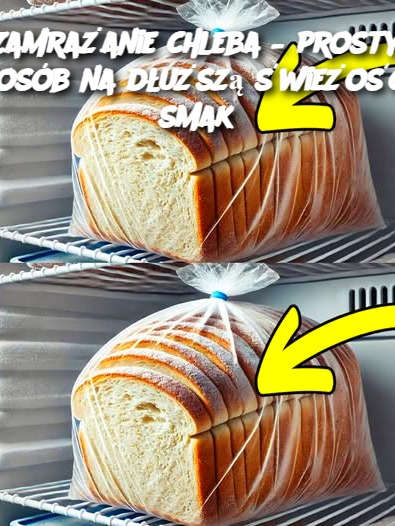 Zamrażanie chleba – prosty sposób na dłuższą świeżość i smak