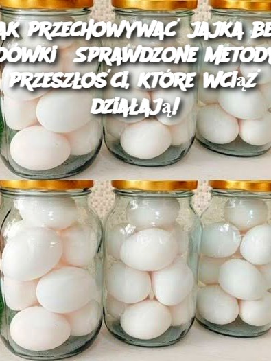 Jak przechowywać jajka bez lodówki? Sprawdzone metody z przeszłości, które wciąż działają!