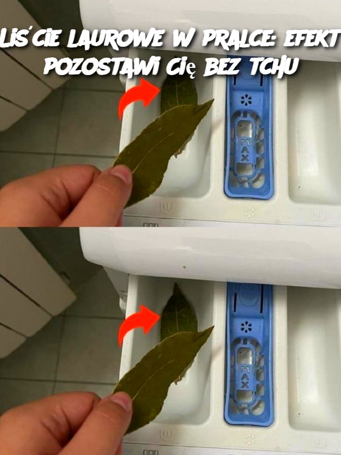 Liście laurowe w pralce: efekt pozostawi Cię bez tchu
