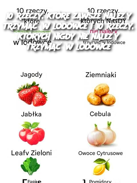 10 rzeczy, które zawsze należy trzymać w lodówce i 10 rzeczy, których nigdy nie należy trzymać w lodówce