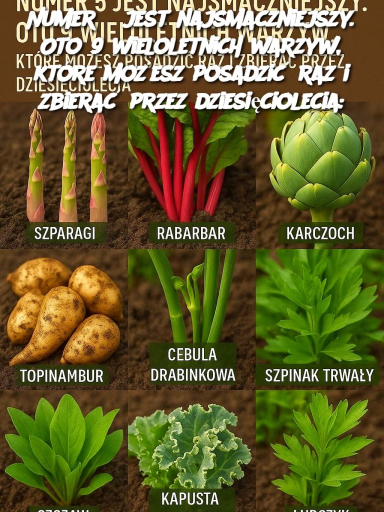 Numer 5 jest najsmaczniejszy. Oto 9 wieloletnich warzyw, które możesz posadzić raz i zbierać przez dziesięciolecia: