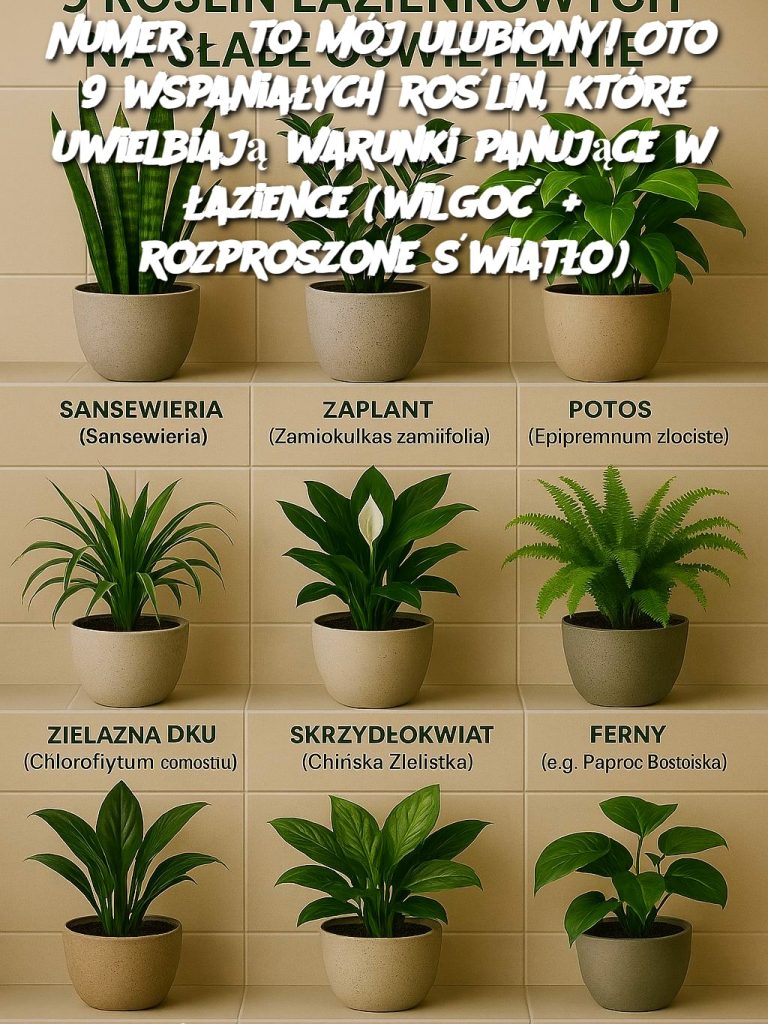Numer 3 to mój ulubiony! Oto 9 wspaniałych roślin, które uwielbiają warunki panujące w łazience (wilgoć + rozproszone światło)