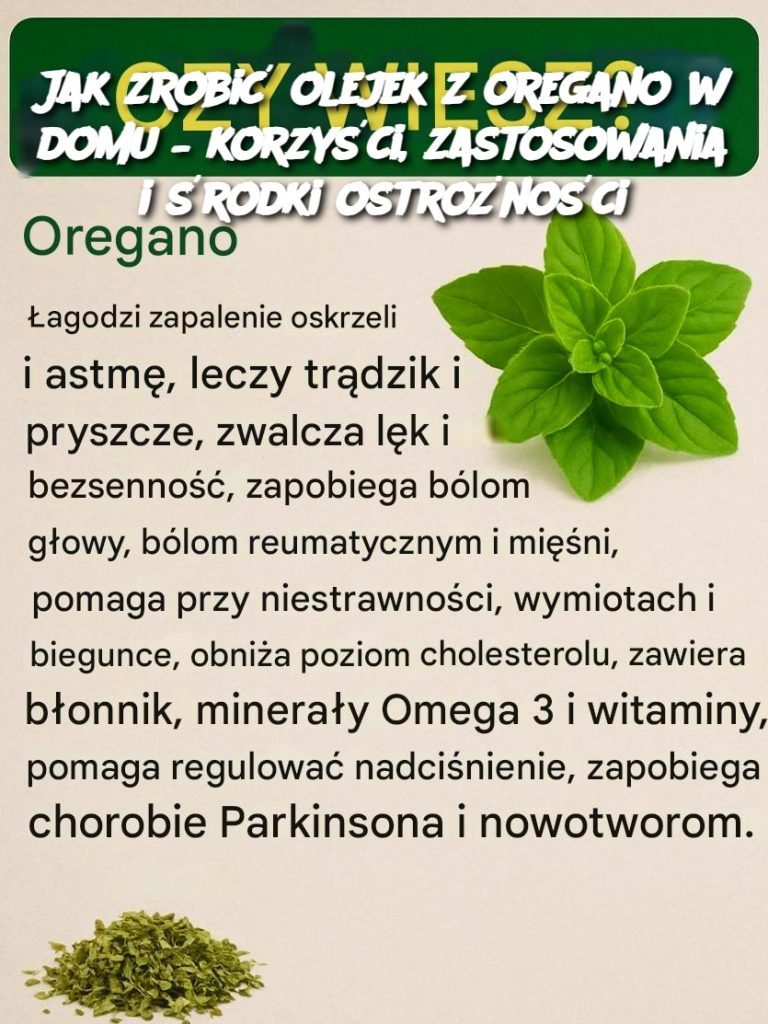 Jak zrobić olejek z oregano w domu – korzyści, zastosowania i środki ostrożności