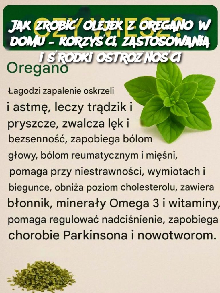 Jak zrobić olejek z oregano w domu – korzyści, zastosowania i środki ostrożności