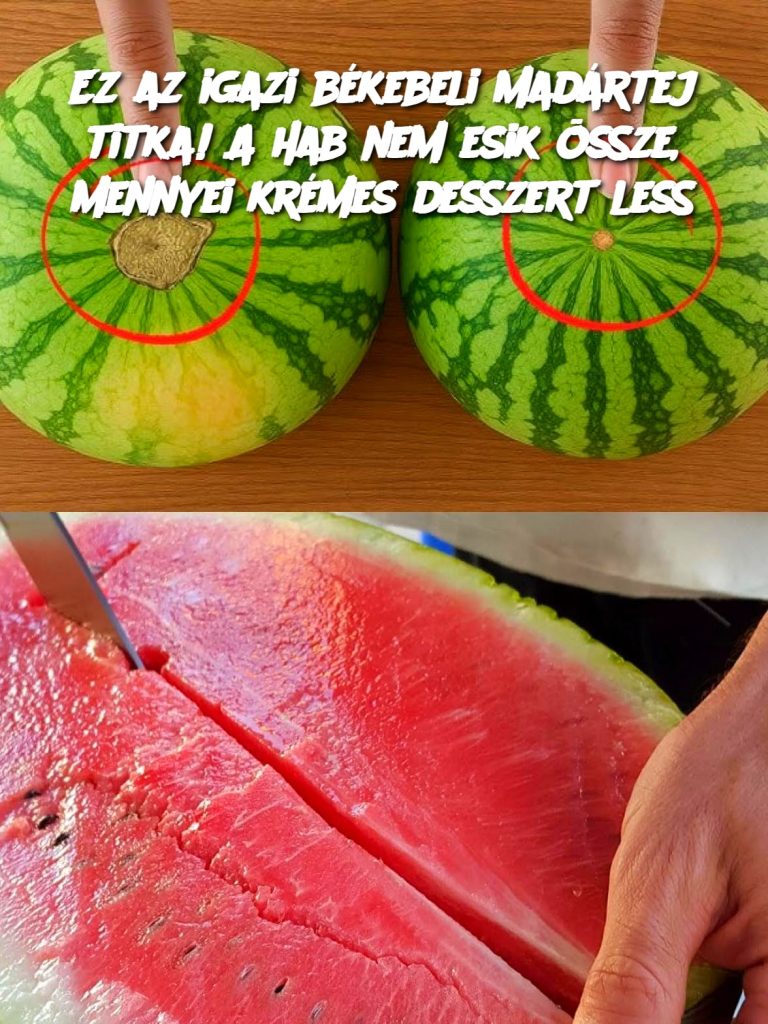 Ez az igazi békebeli madártej titka! A hab nem esik össze, mennyei krémes desszert less