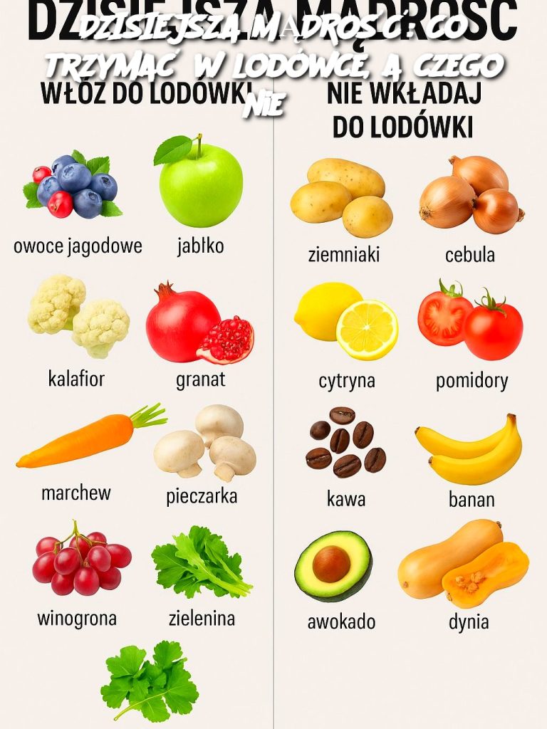 DZISIEJSZA MĄDROŚĆ: Co trzymać w lodówce, a czego nie?