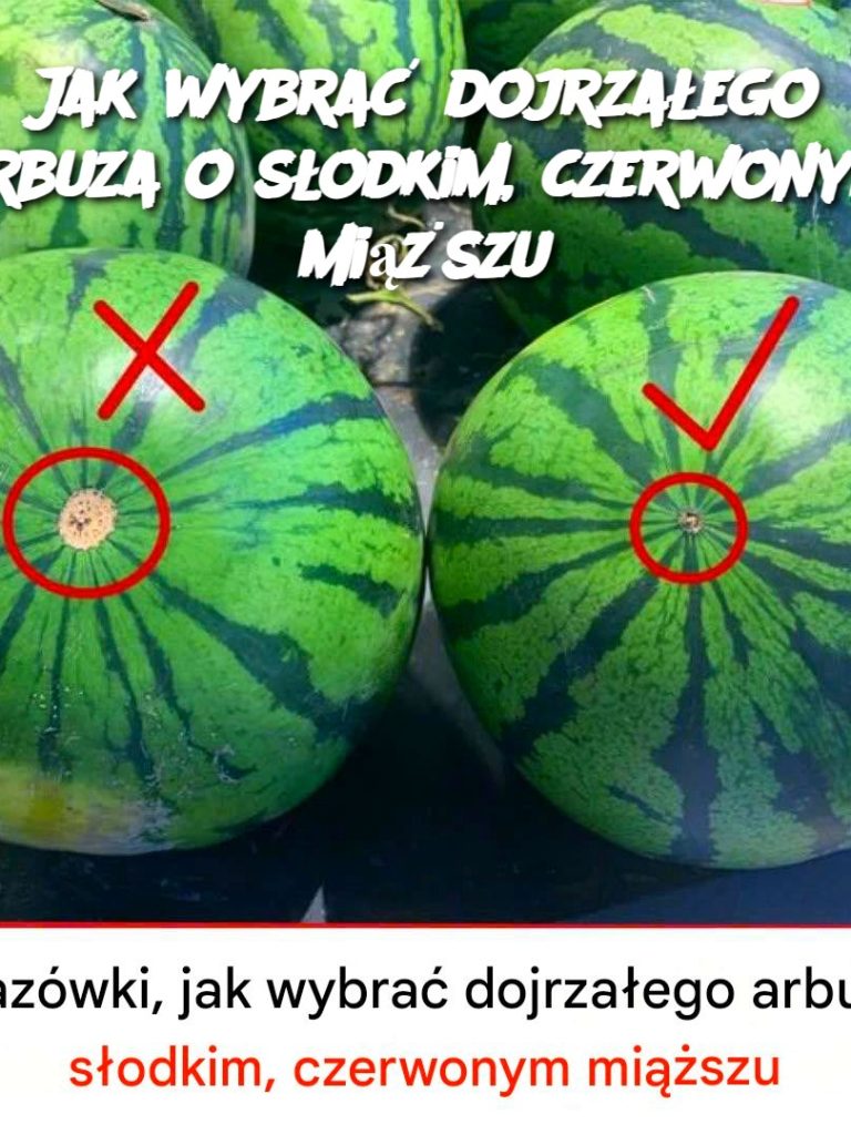 Jak wybrać dojrzałego arbuza o słodkim, czerwonym miąższu