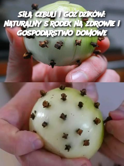 Siła cebuli i goździków: naturalny środek na zdrowie i gospodarstwo domowe