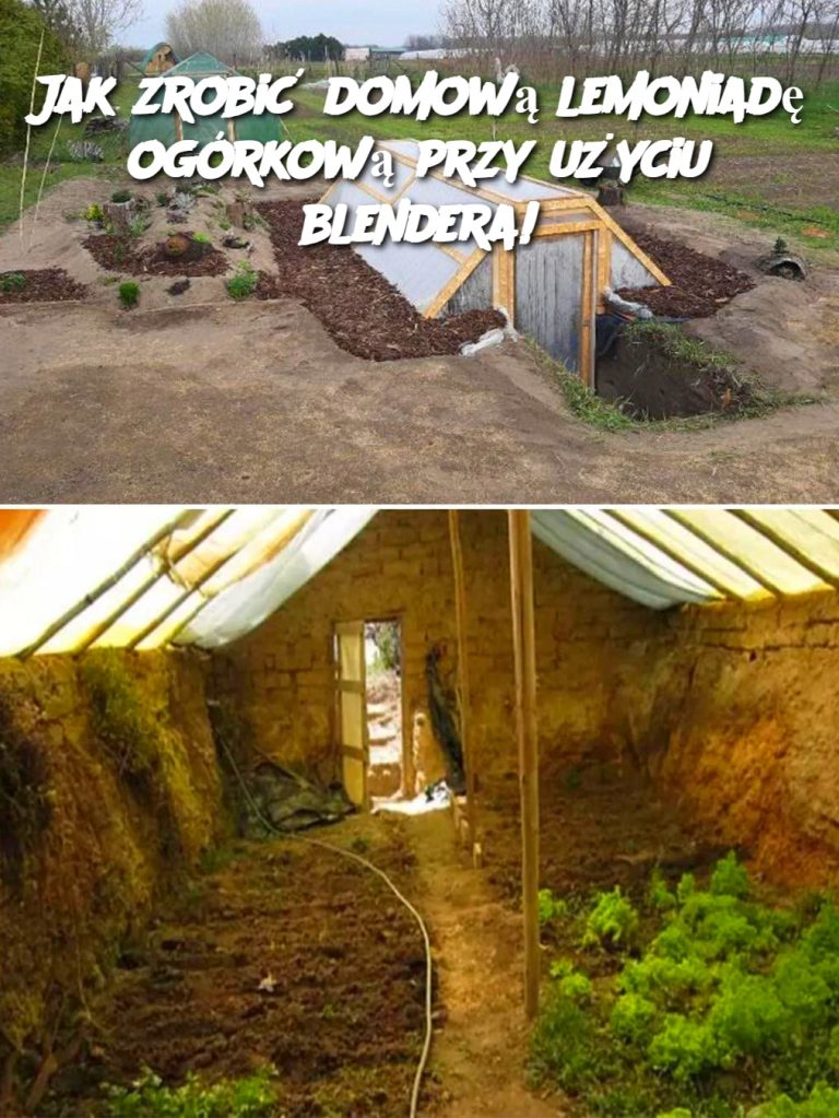 Jak zrobić domową lemoniadę ogórkową przy użyciu blendera!