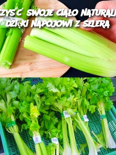 Oczyść swoje ciało naturalnie dzięki napojowi z selera